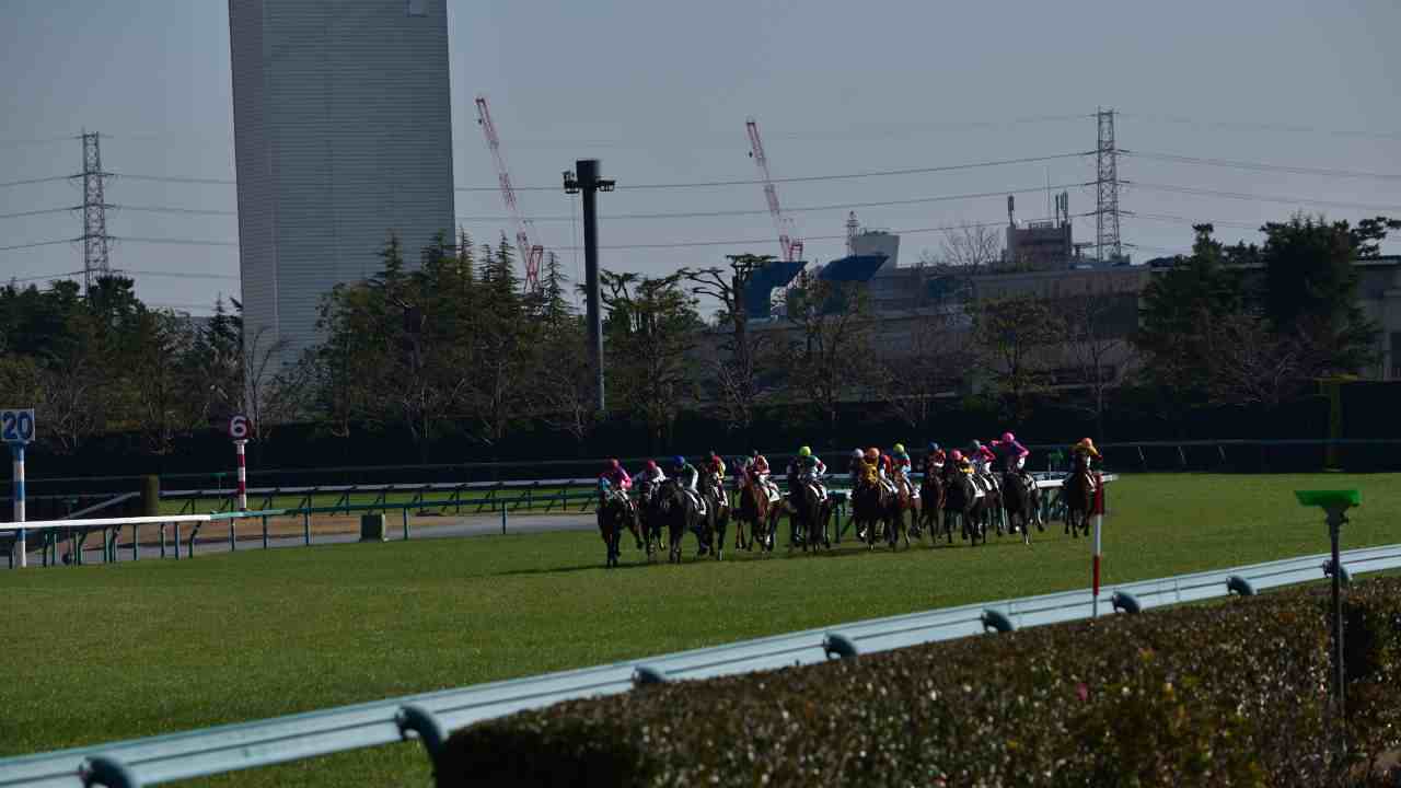阪神競馬場のおすすめ写真撮影スポット 阪神競馬場のおすすめ写真撮影スポット
